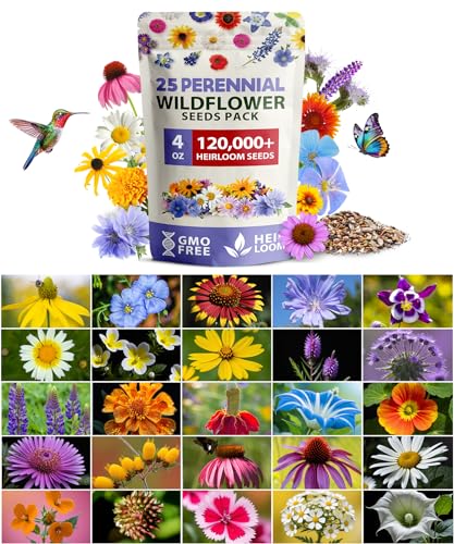 Perennial Wild Flower Seeds for Planting (Butterfly, Birds & Bees)
