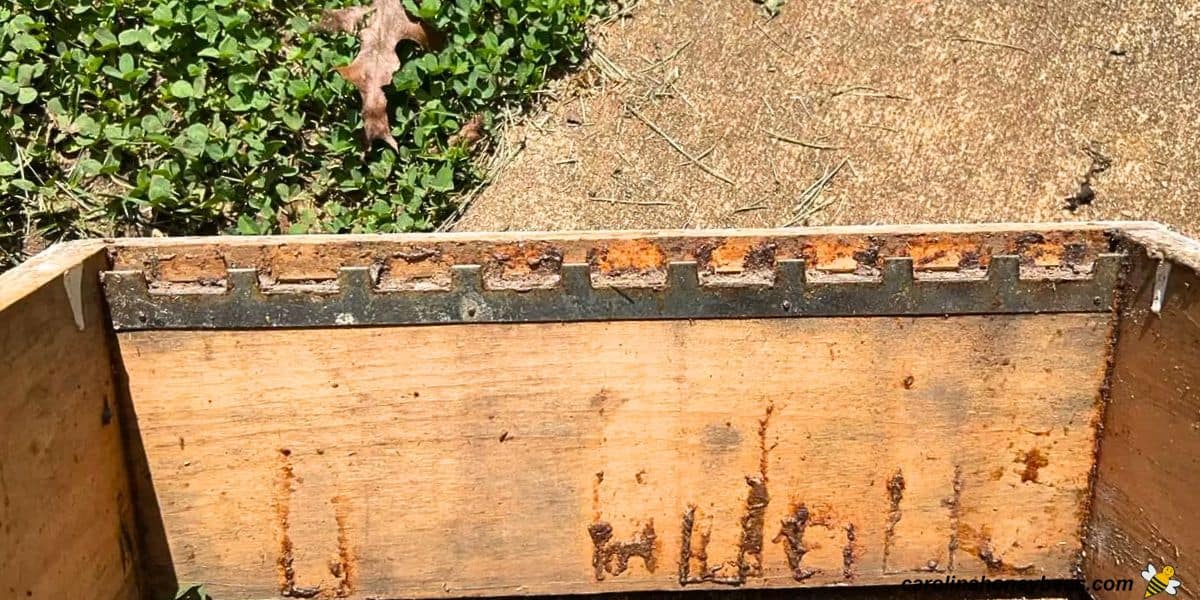 Beehive super box with metal frame spacer installed.