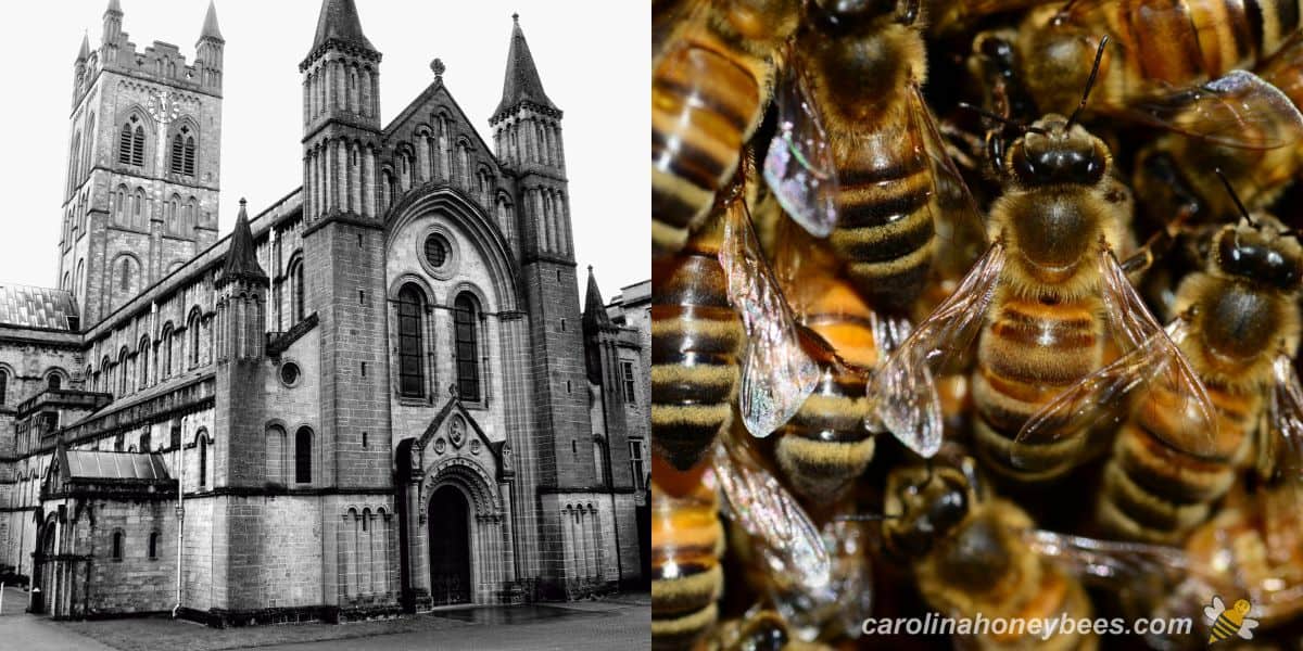 Buckfast Abbey in England home of brother Adam who developed buckfast bees.