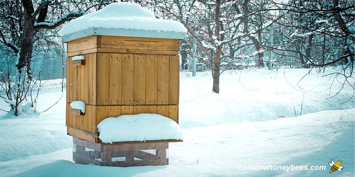 Bee hive in winter snow where honey bees go to survive.