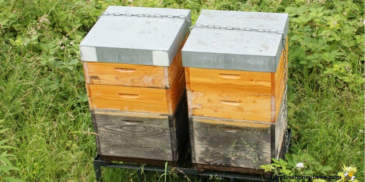 Various hive parts and beekeeping supers stacked on hives.