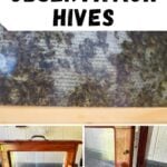 Pinterest Hidden Image