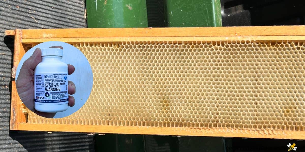 Empty frame with good drawn out comb and a bottle of certan wax moth preventative.