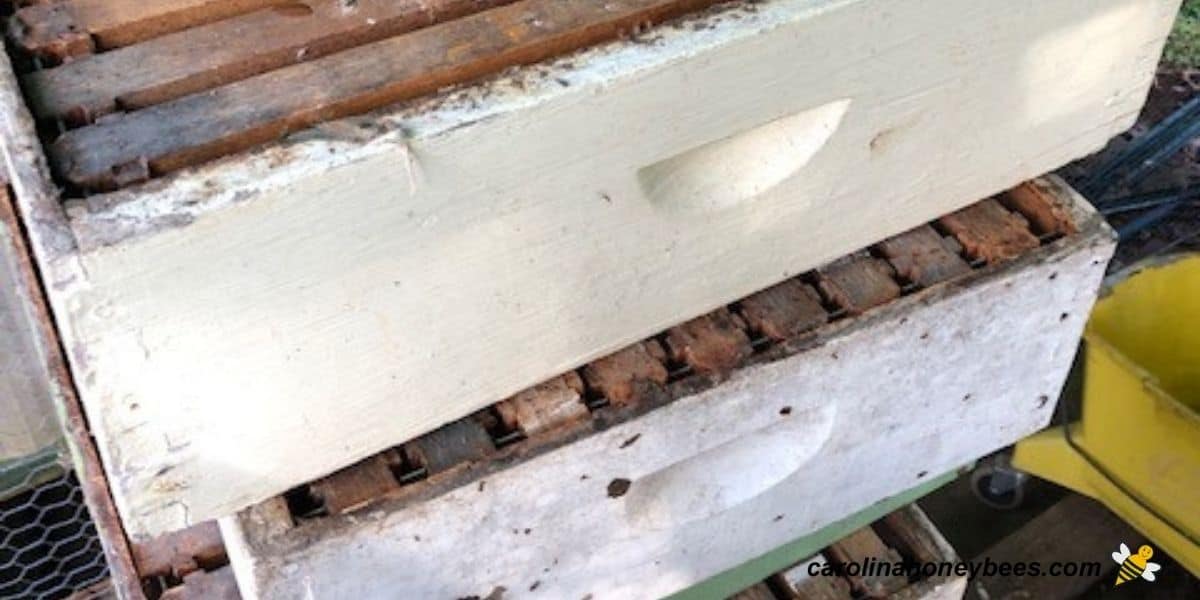 Winter storage for honey supers with drawn comb stacked image.