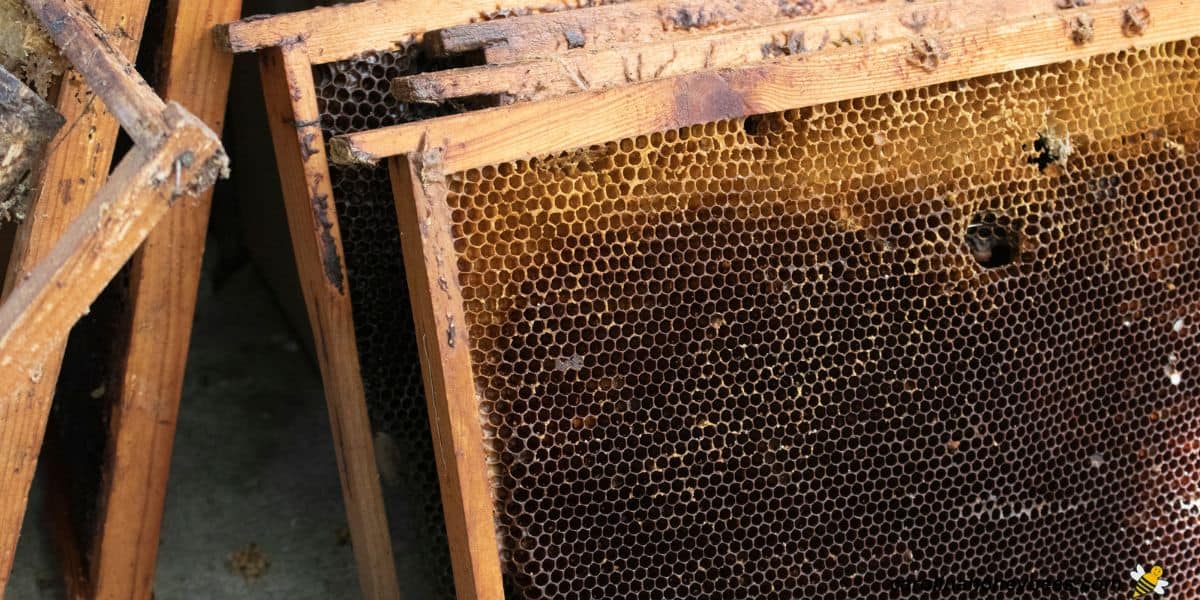 Old comb from the brood nest that has been rotated out of the beehive.