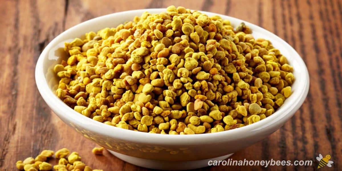 A bowl of dried bee pollen collected from a hive.