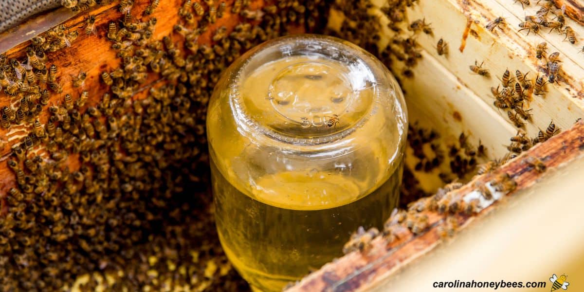 Internal jar used as fall bee feeding for colony in need of food stores.