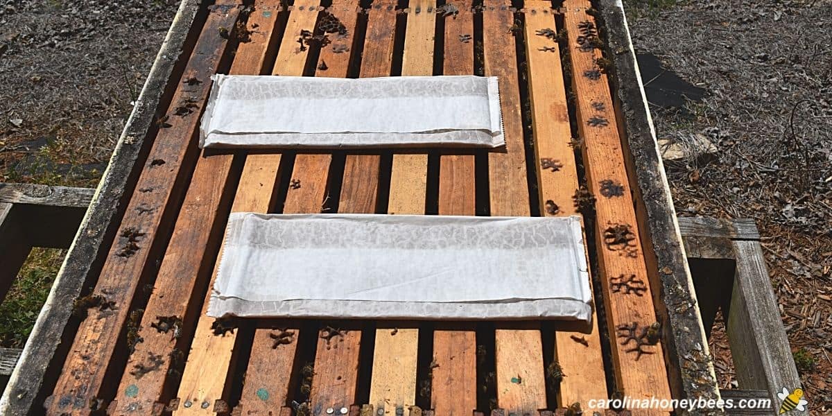 Two strips of formic acid mite treatment strips on a hive.