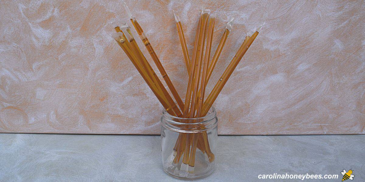 Several homemade honey sticks in a glass jar.
