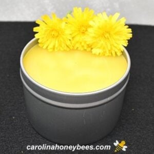 Cooling tin of dandelion salve with flowers image.