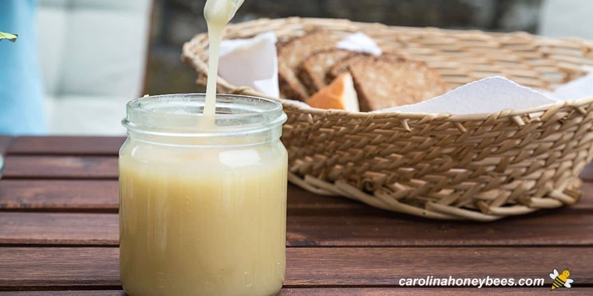 Small jar of homemade creamed honey .