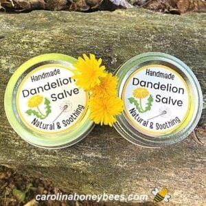 Two containers of dandelion salve image.