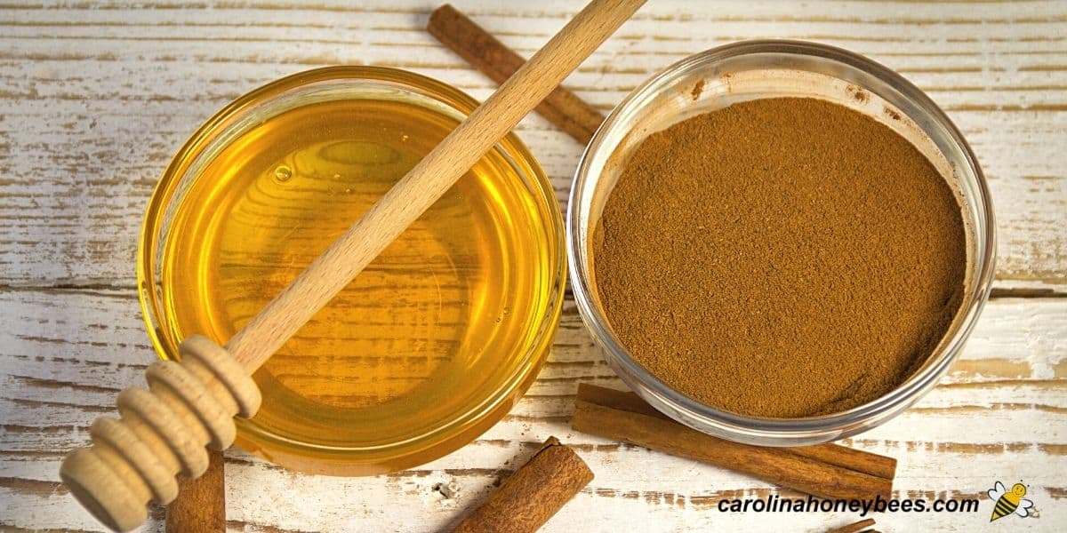 Bowls of honey and ground cinnamon with honey dipper and cinnamon sticks.
