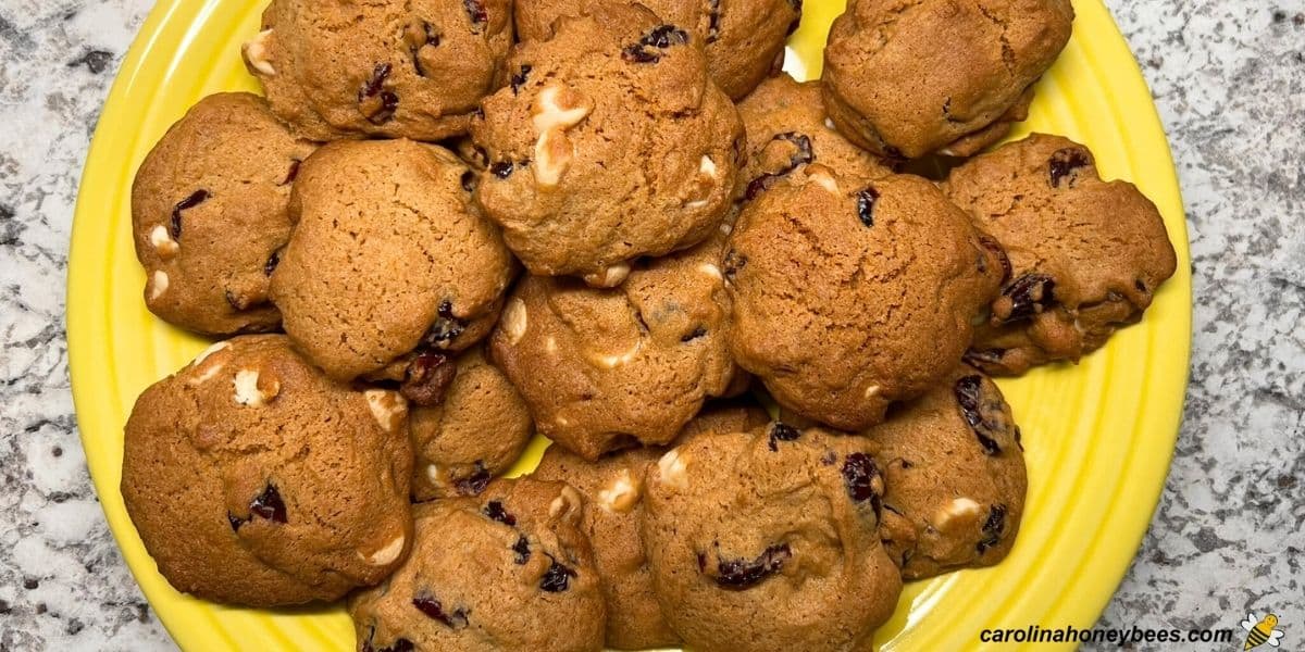 Healthier version of cranberry and honey cookies with white chocolate chips on a yellow plate.