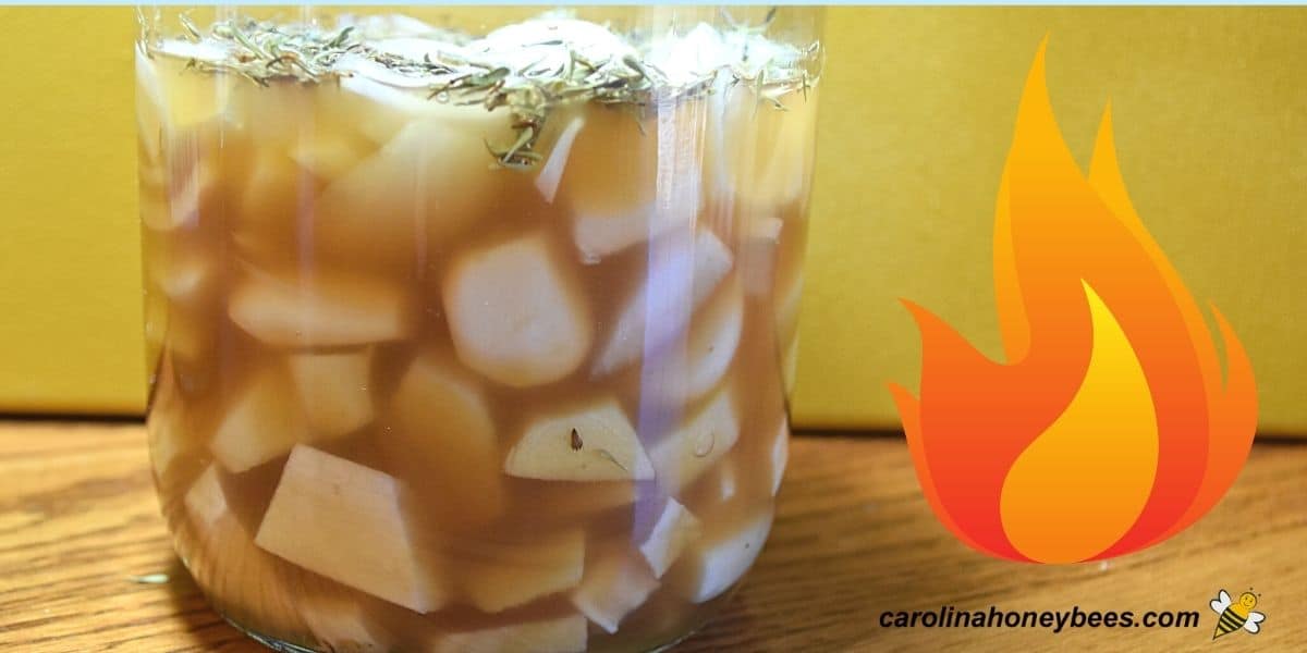Homemade honey fire cider infusing in a clear jar.
