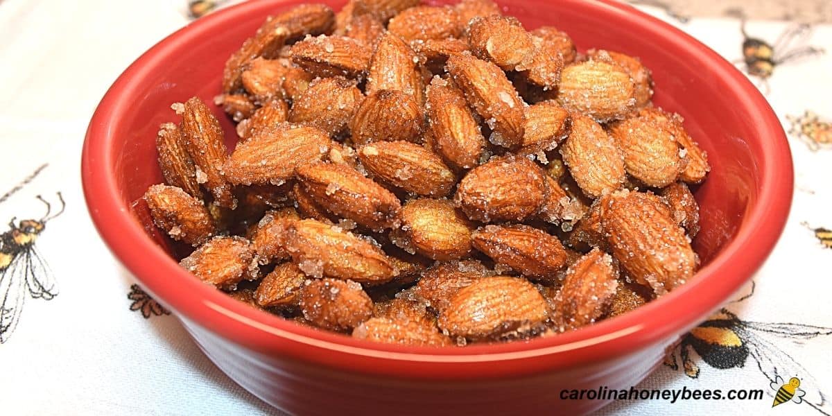 Fresh homemade honey roasted almonds in a red bowl.