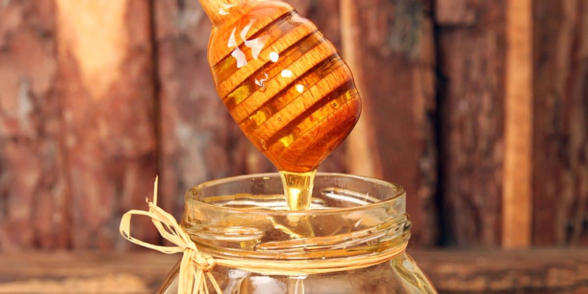 Honey in small bowl with various ingredients that can be used with it.