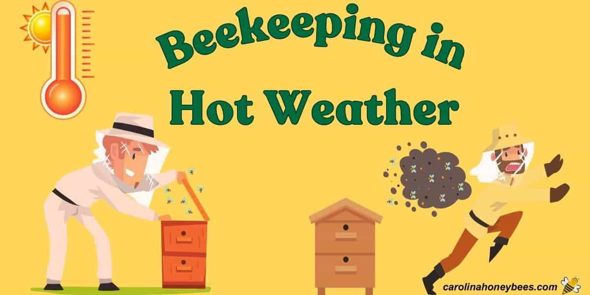 Graphic of two beekeepers with beehives during high temperatures, beekeeping in hot weather.