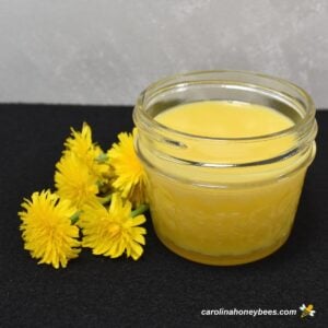 Small jar of dandelion salve recipe image.