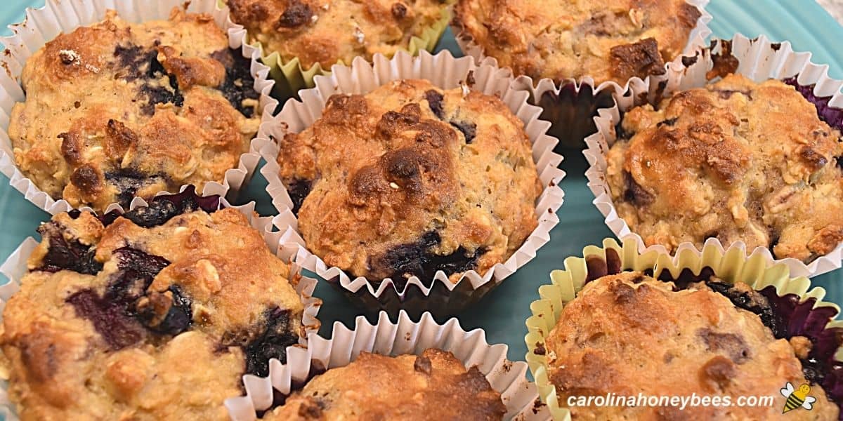 Baked honey blueberry muffins with oatmeal snacks.