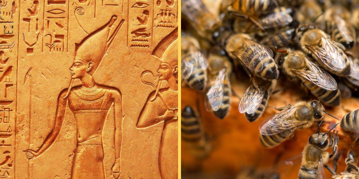 Ancient carving of Ra Sun God who cried tears of bees.