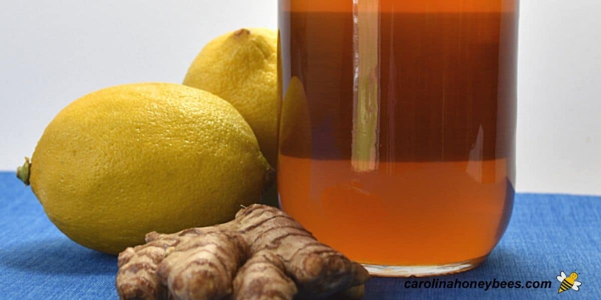 Jar of raw honey with lemon and ginger root ingredients for tea.