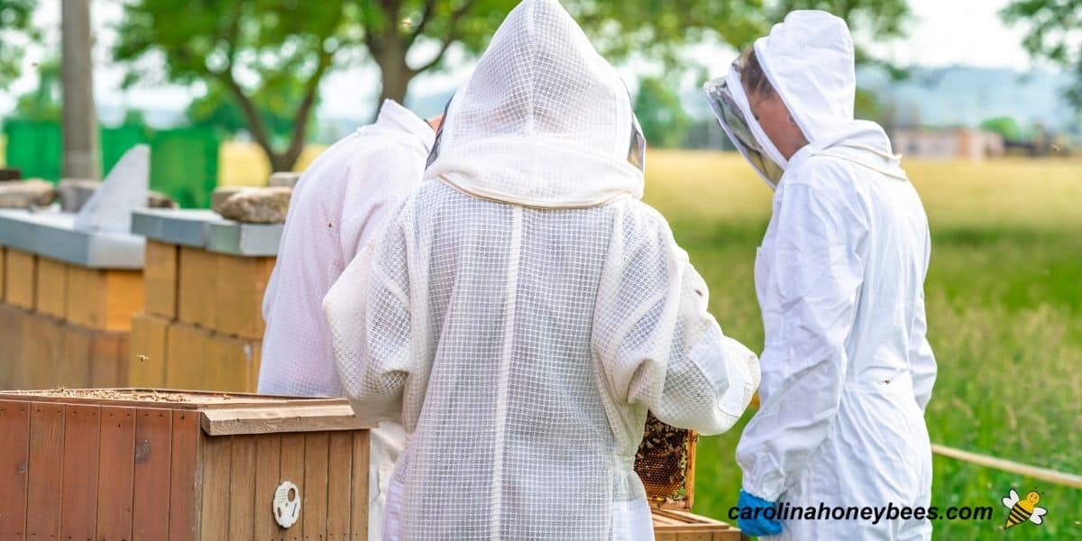 Three beekeepers around a hive wearing different types of beekeeping suits image.