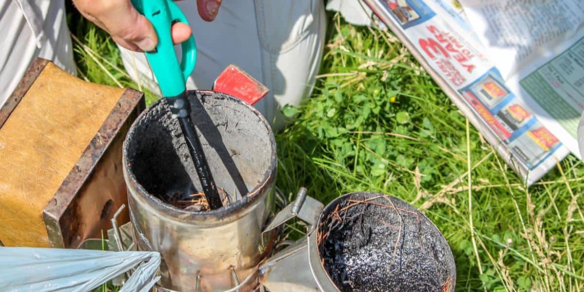 Beekeeper lighting a smoker with a lighter and combustible material.