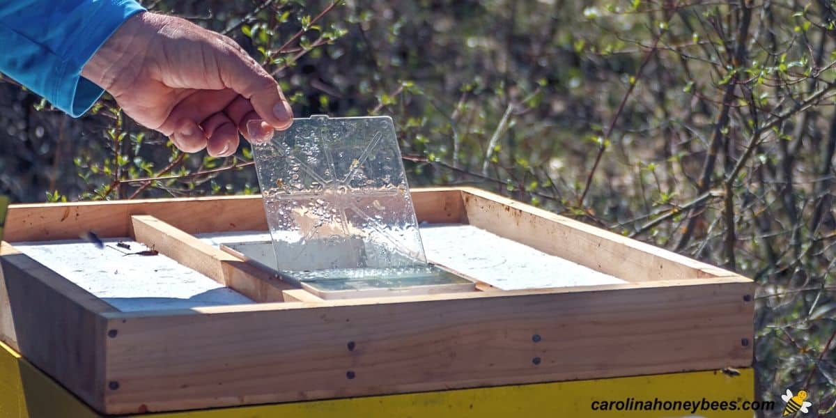 Top feeder filled with sugar water on a hive image.