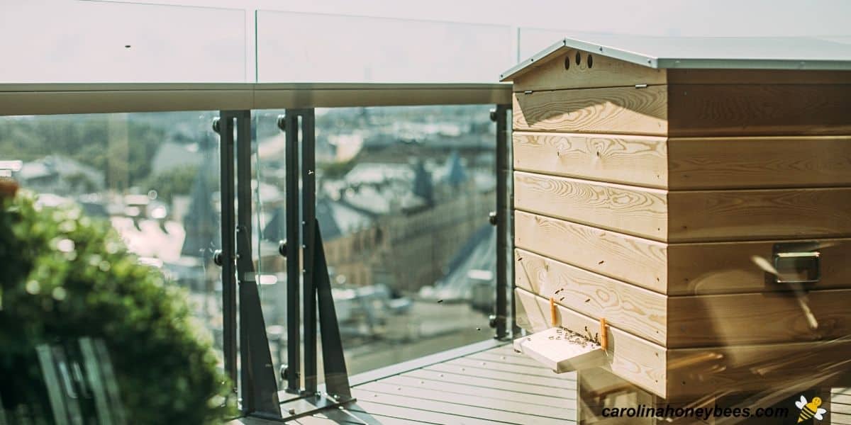Urban beehive on patio belonging to a city beekeeper.