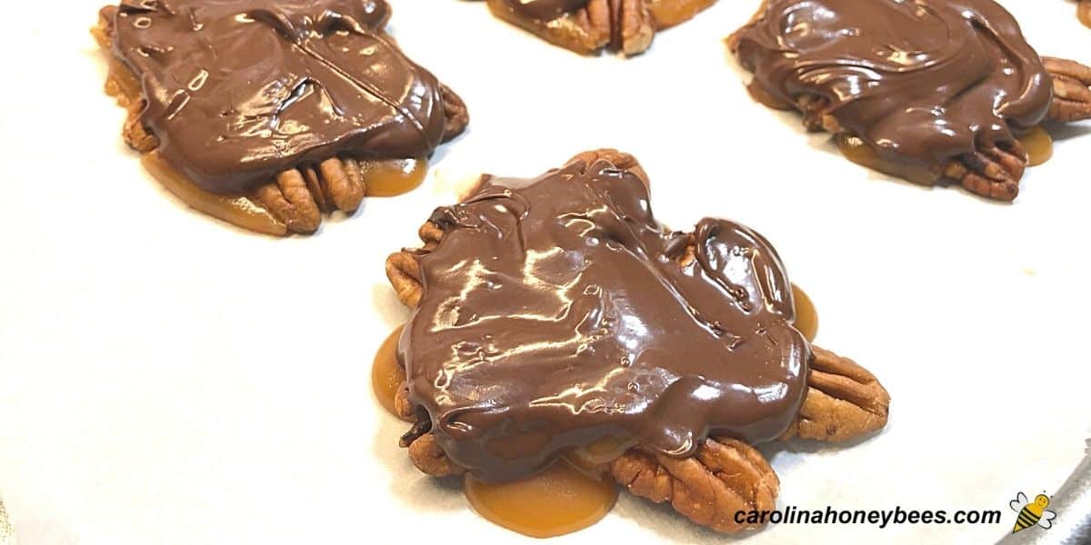 Homemade chocolate honey caramel turtles on sheet pan image.