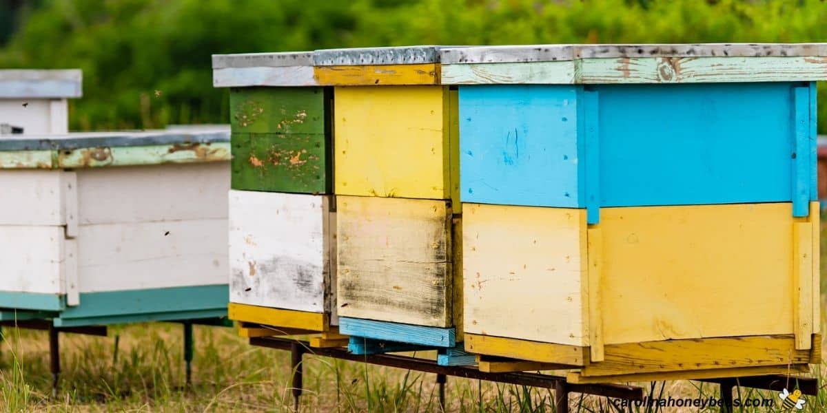Yellow beehive placed in the yard among grasses image.