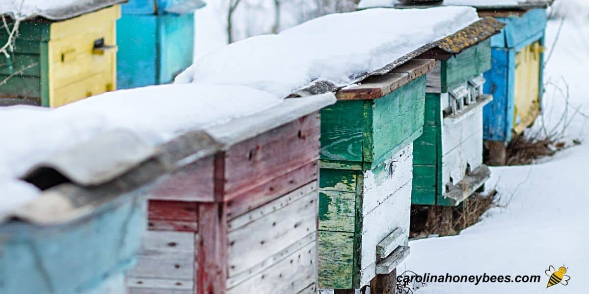 A beekeeper's row of hives in winter snow.